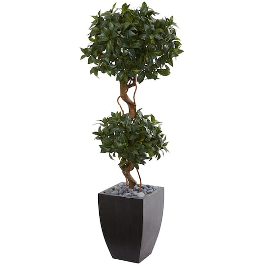 Michaels, 4.5ft. Sweet Bay Double Topiary Tree in Black Planter – Category: Trees & Floor Plants